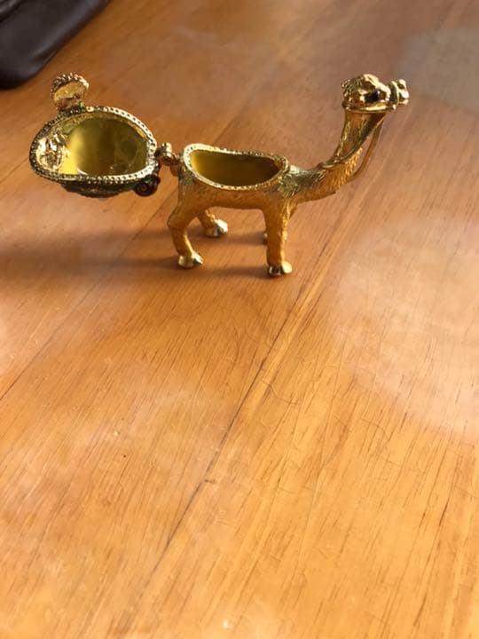 エジプトのグルデンラクダ