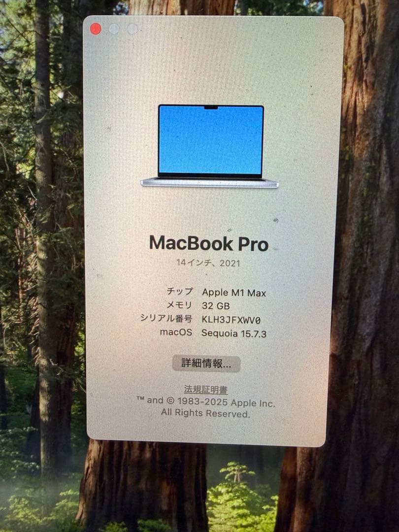 MacBook本体 Apple MacBook Pro M1 Max 32GB SSD1TB US