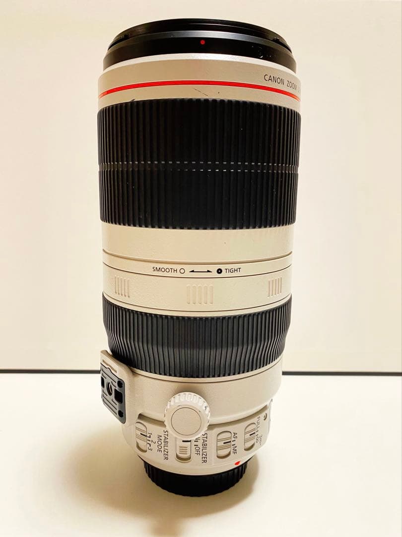 k*様 Canon EF 100-400mm f/4.5-5.6L IS II