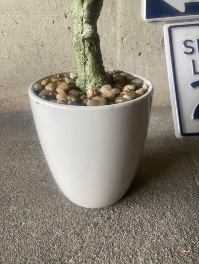 光触媒　人工観葉植物　ウォールグリーン　フェイク　ベンジャミンフィカス@g