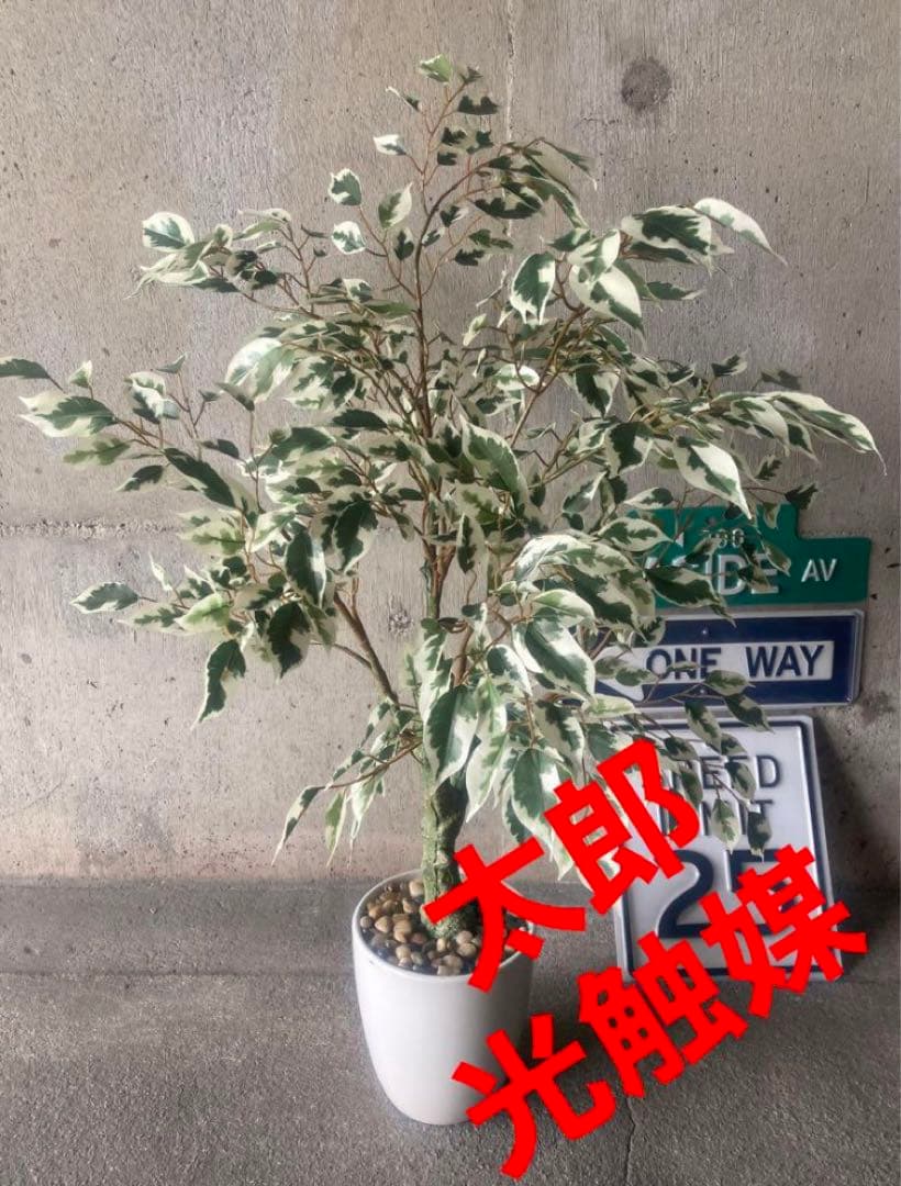光触媒　人工観葉植物　ウォールグリーン　フェイク　ベンジャミンフィカス@g