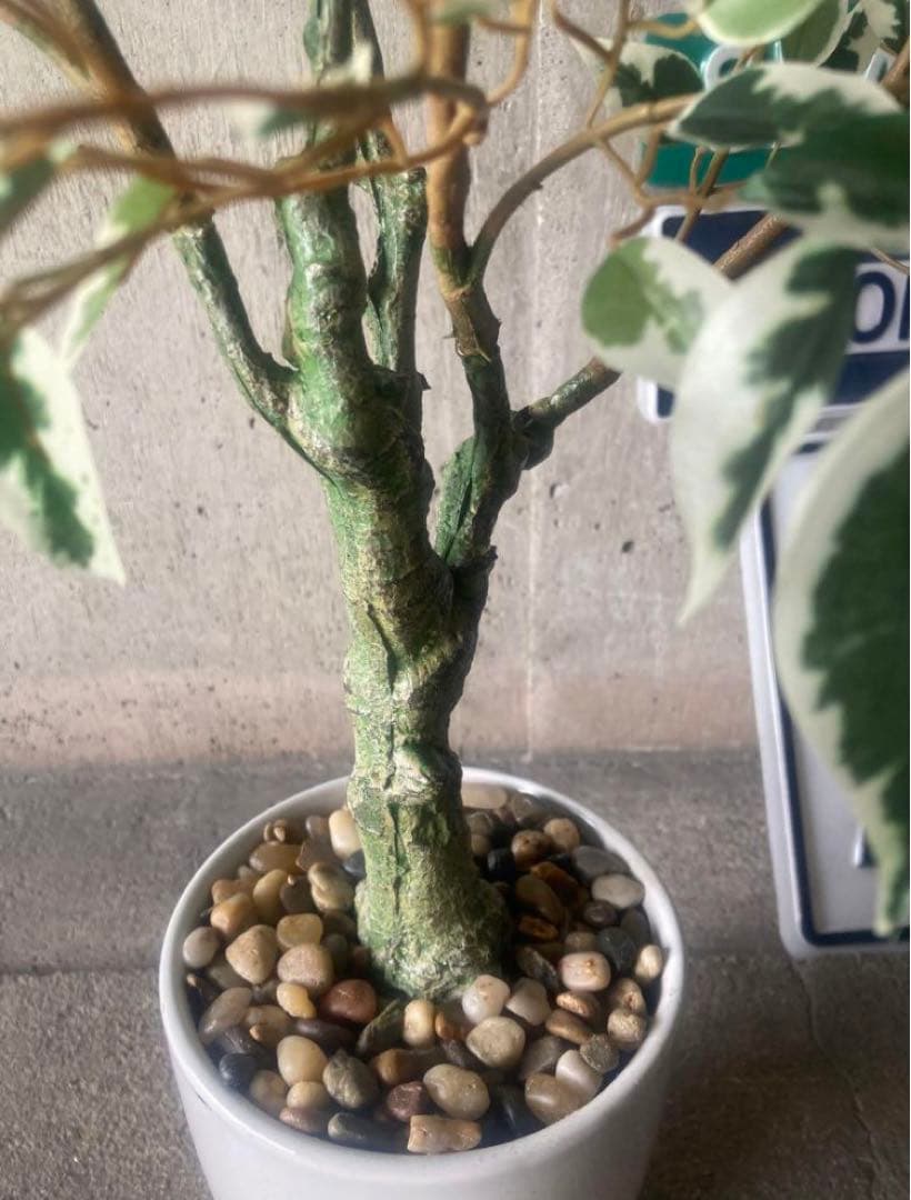 光触媒　人工観葉植物　ウォールグリーン　フェイク　ベンジャミンフィカス@g