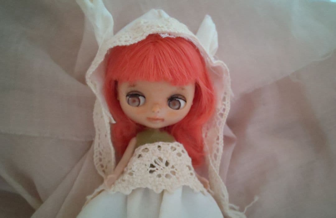 プチブライスカスタム　参考例