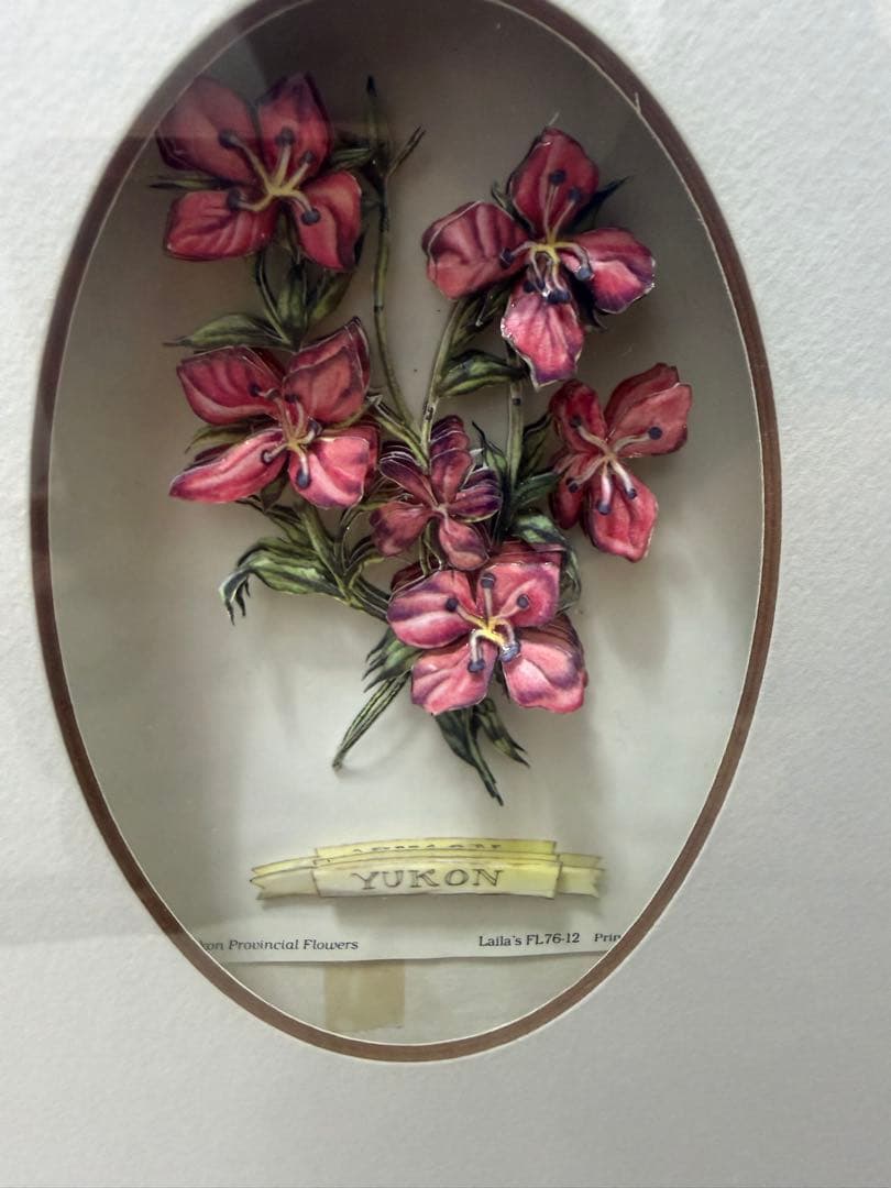 希少！ヴィンテージ額装アート｜カナダ州花 12種｜デコパージュ立体作品