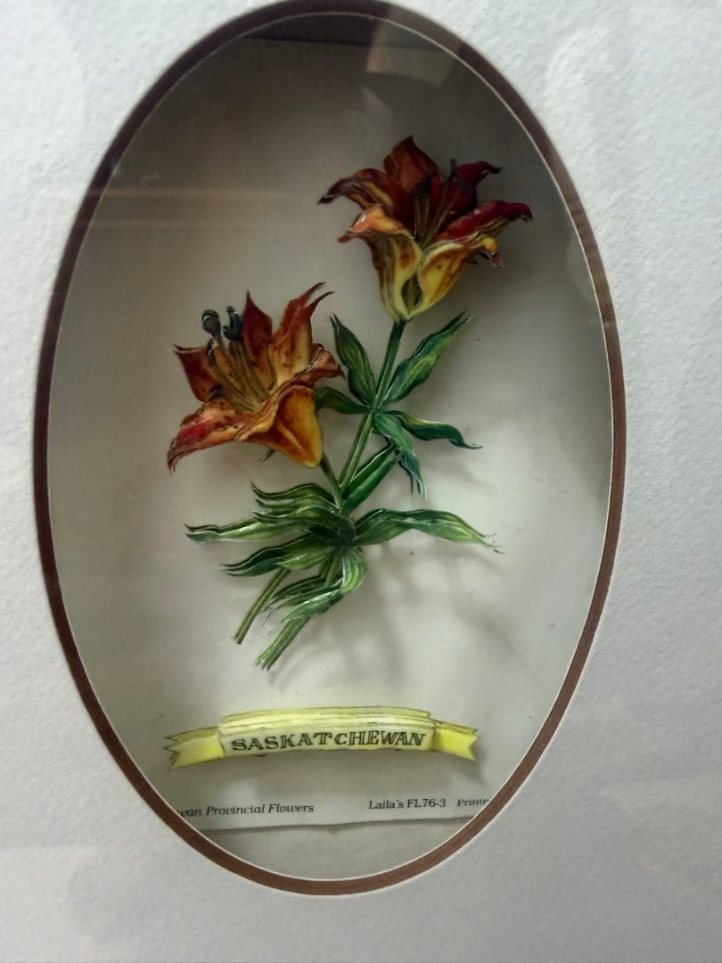 希少！ヴィンテージ額装アート｜カナダ州花 12種｜デコパージュ立体作品