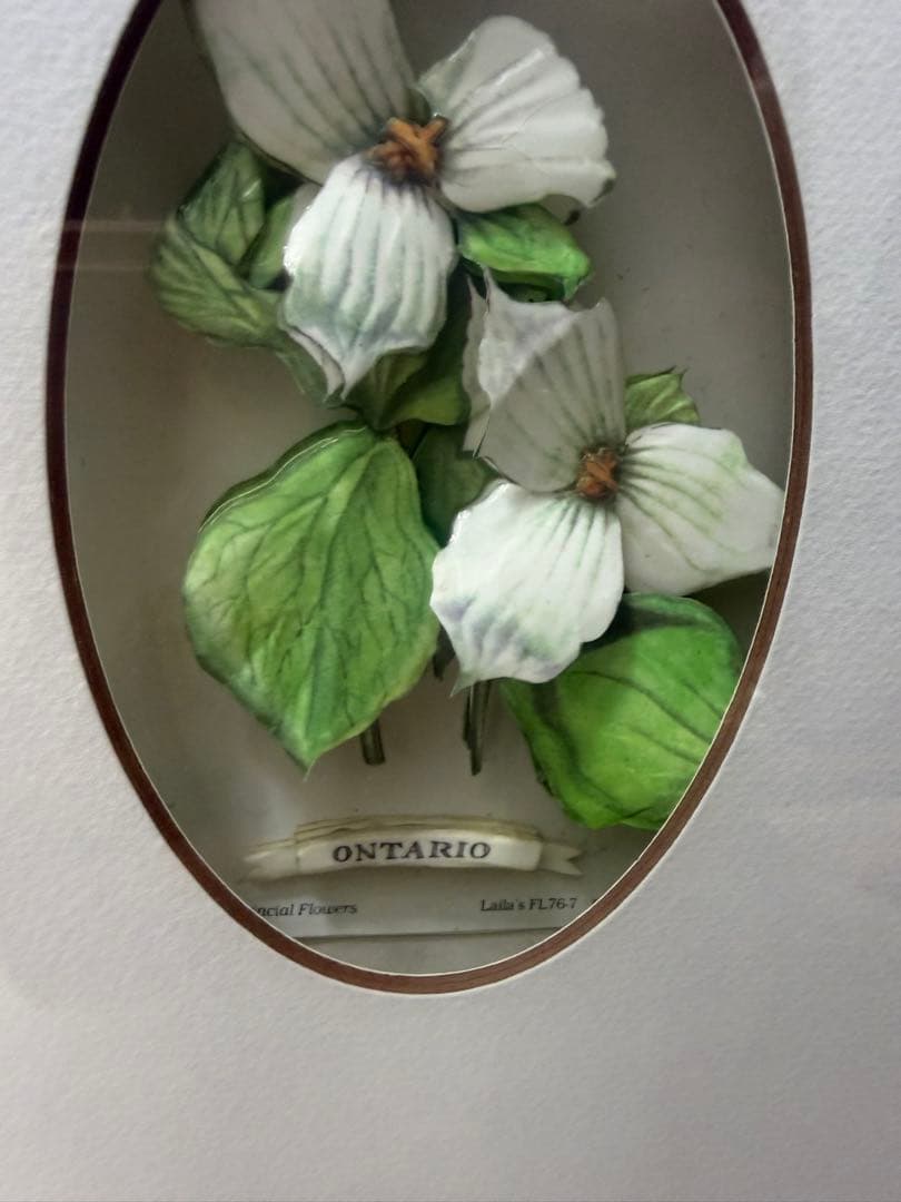 希少！ヴィンテージ額装アート｜カナダ州花 12種｜デコパージュ立体作品