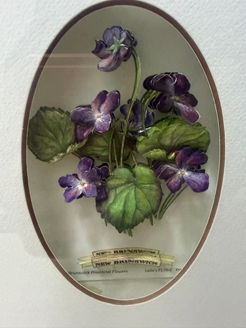 希少！ヴィンテージ額装アート｜カナダ州花 12種｜デコパージュ立体作品