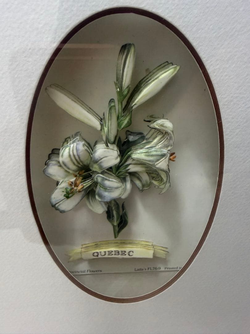 希少！ヴィンテージ額装アート｜カナダ州花 12種｜デコパージュ立体作品