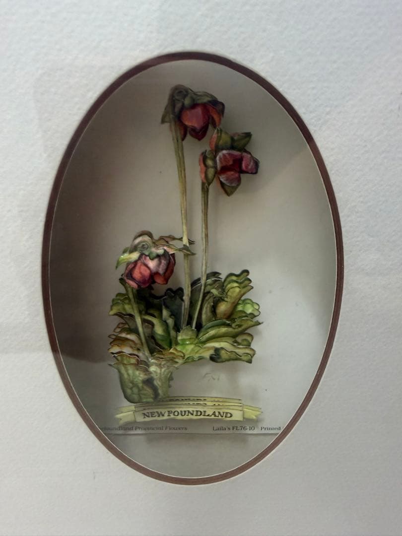 希少！ヴィンテージ額装アート｜カナダ州花 12種｜デコパージュ立体作品