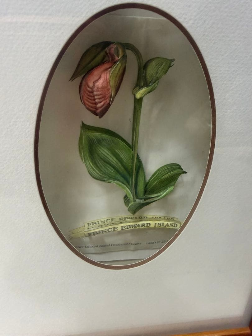 希少！ヴィンテージ額装アート｜カナダ州花 12種｜デコパージュ立体作品