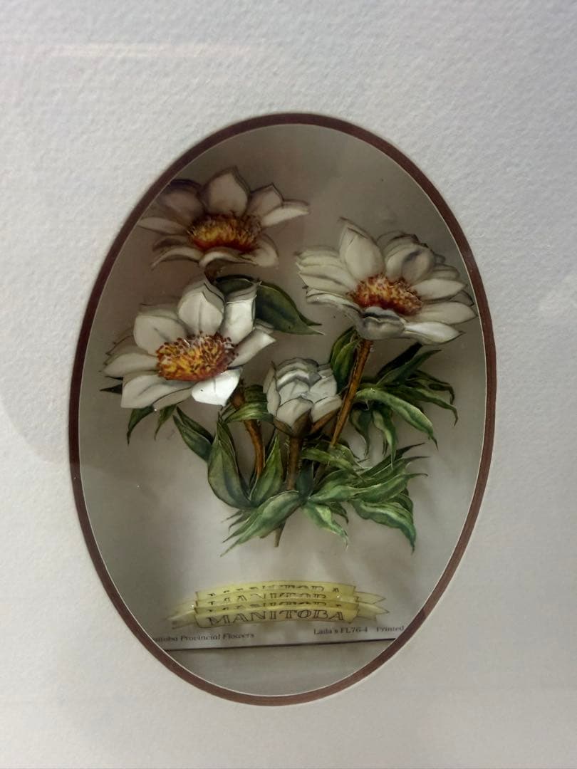 希少！ヴィンテージ額装アート｜カナダ州花 12種｜デコパージュ立体作品