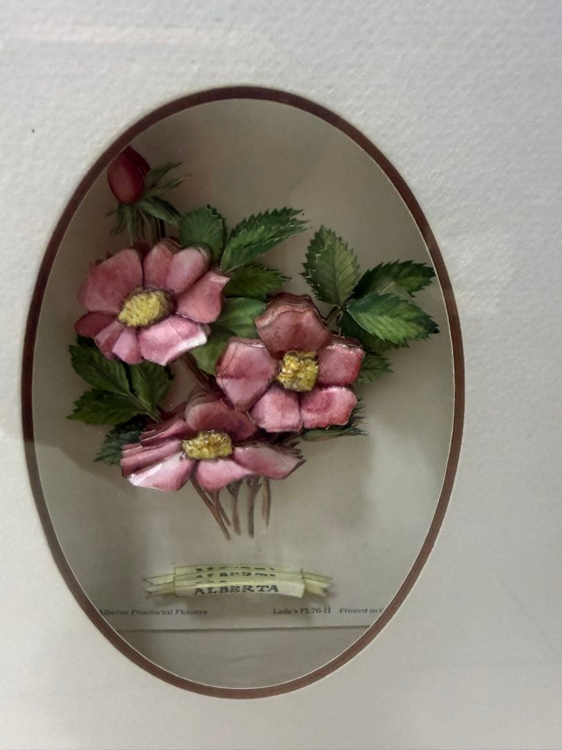希少！ヴィンテージ額装アート｜カナダ州花 12種｜デコパージュ立体作品