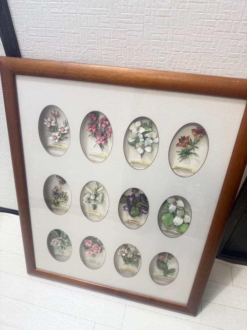 希少！ヴィンテージ額装アート｜カナダ州花 12種｜デコパージュ立体作品