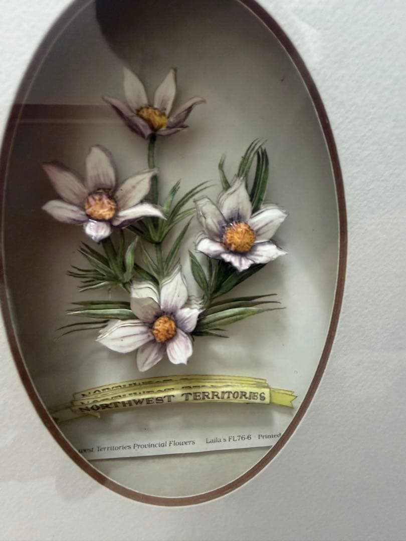 希少！ヴィンテージ額装アート｜カナダ州花 12種｜デコパージュ立体作品