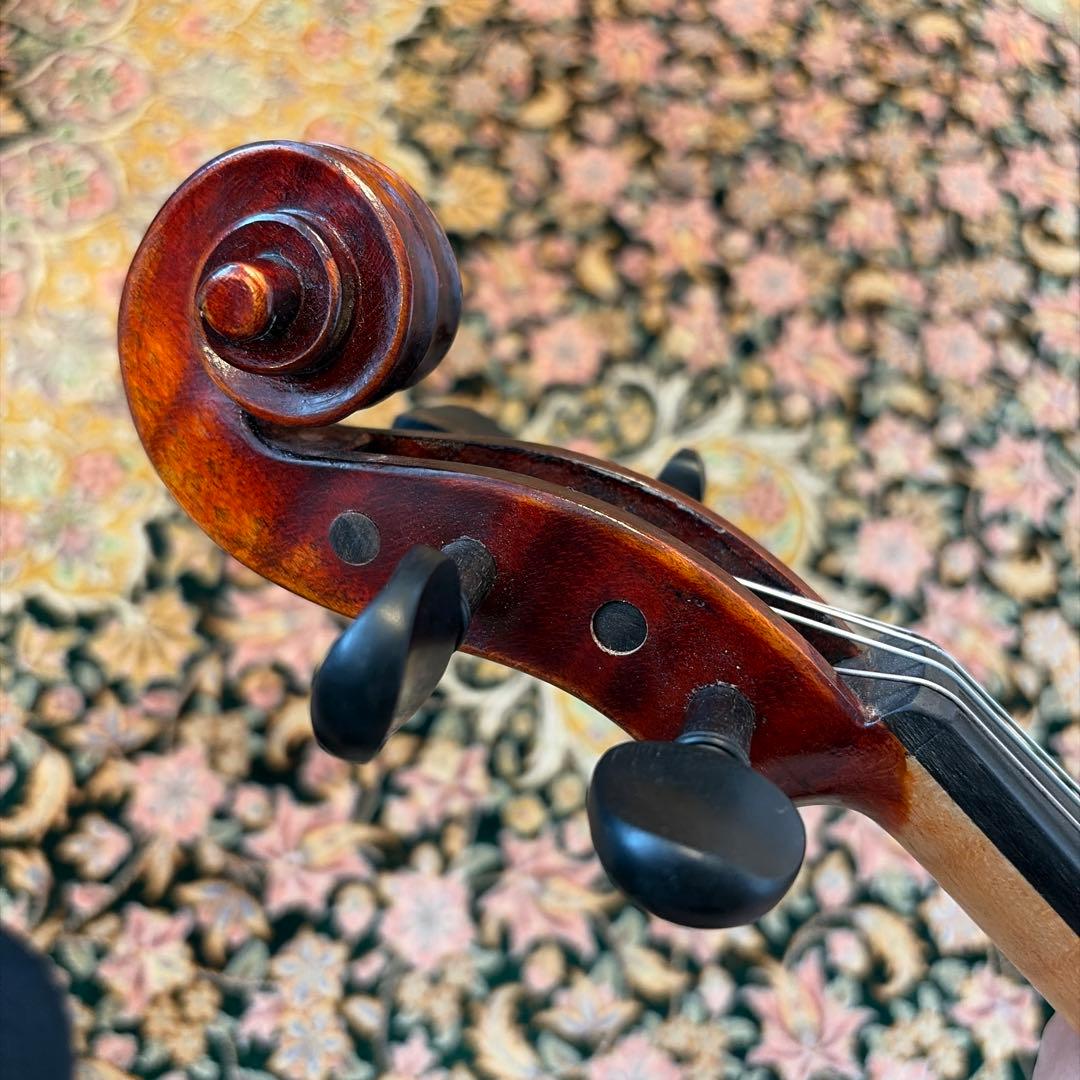 新品 バイオリン イーストマン Ivan Dunov SP VL401