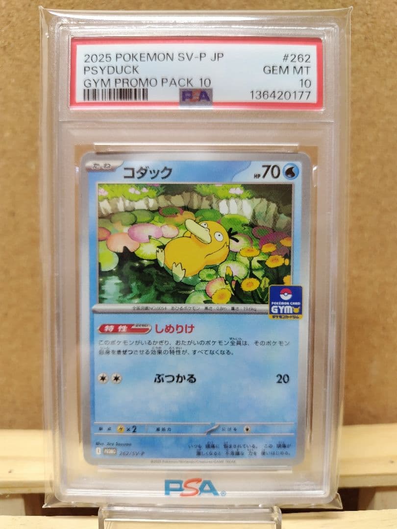 【PSA10】コダック　ジムプロモ　262/SV-P