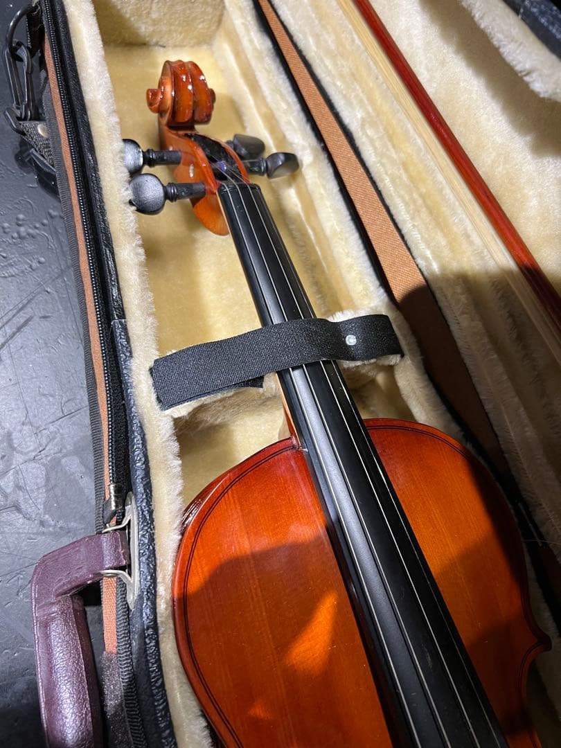 Sang jin industrial corina viollin 美品