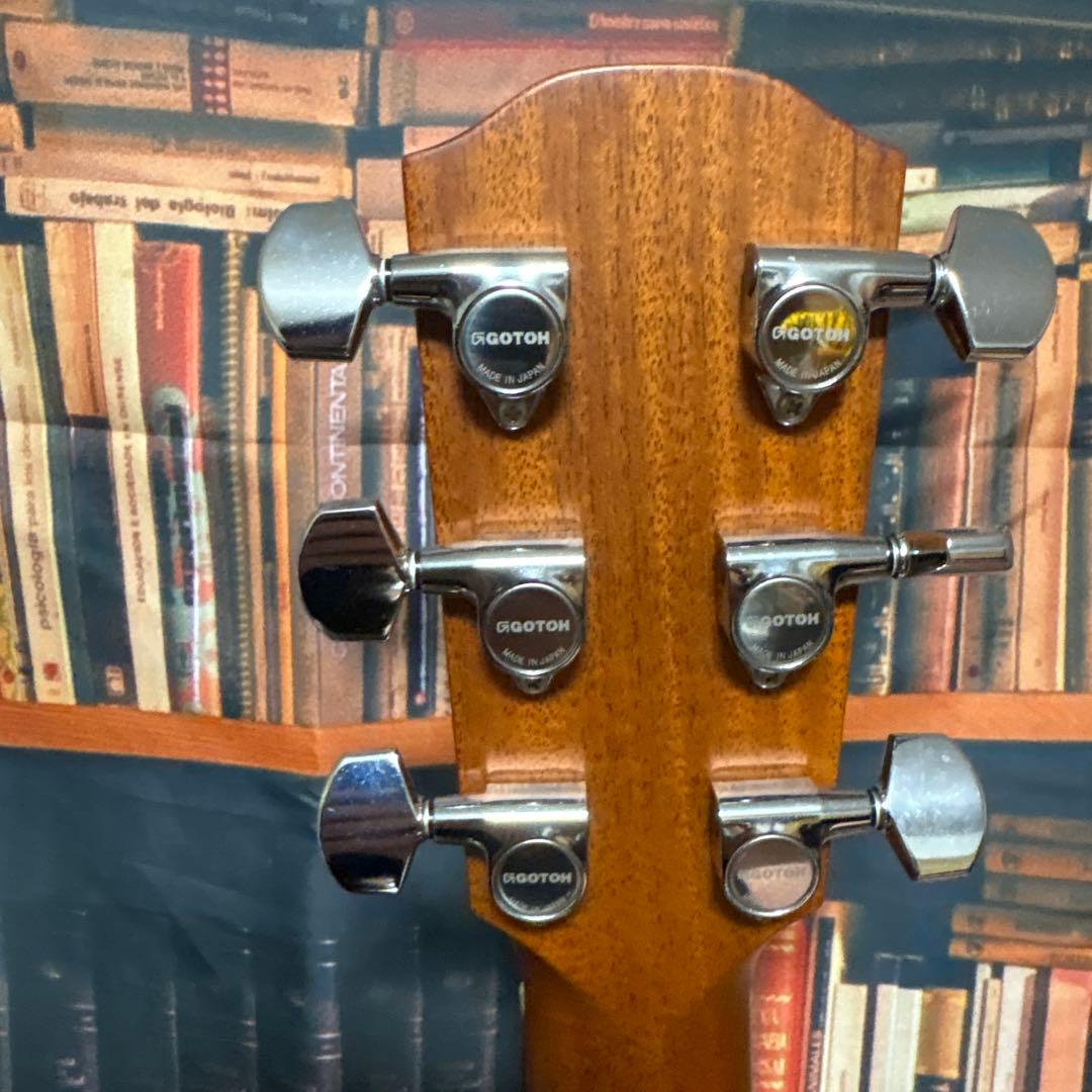 K.yairi RF-65LITE L.R.Baggs anthem付き