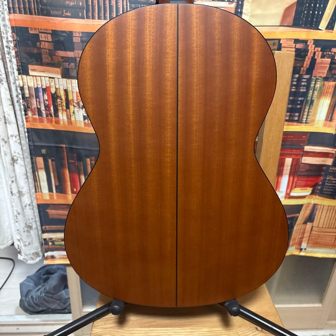 K.yairi RF-65LITE L.R.Baggs anthem付き