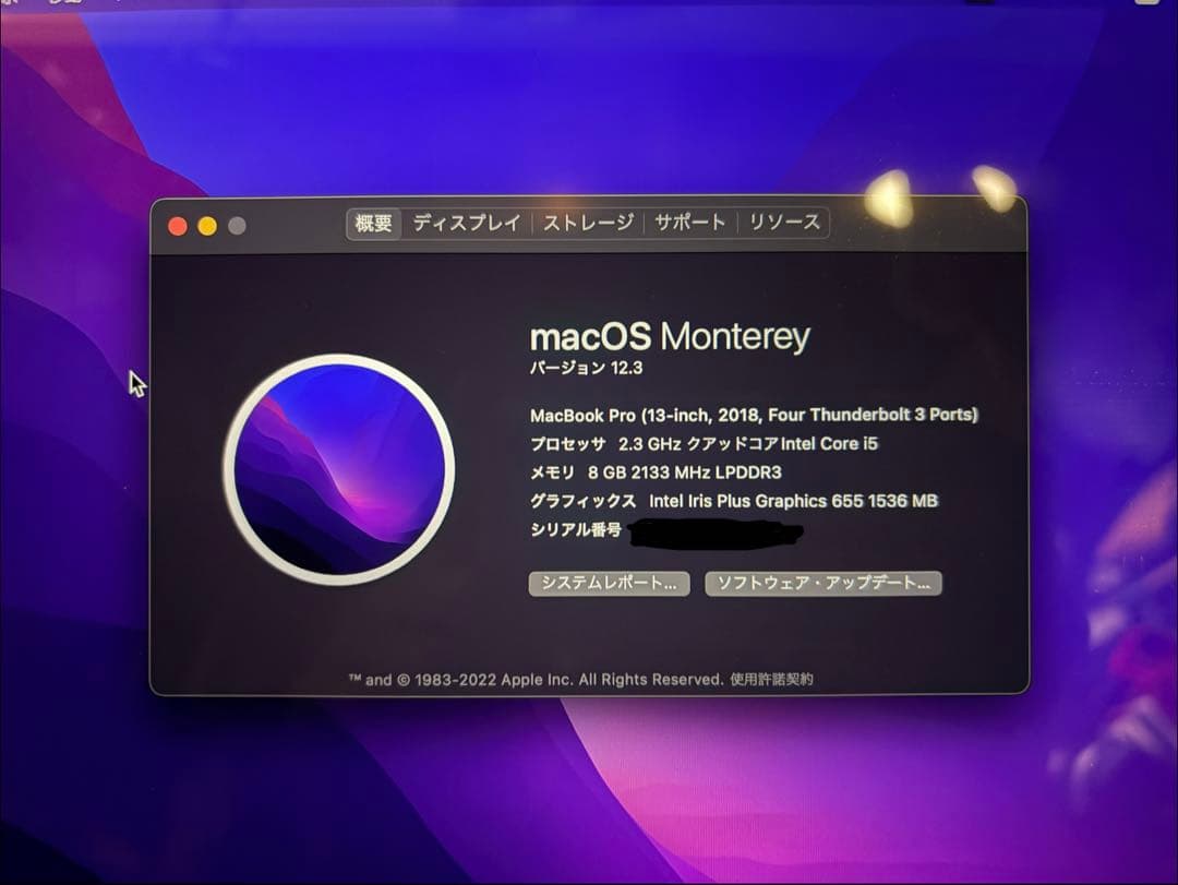 MacBook Pro 13インチ 2018モデル(内蔵500GB)