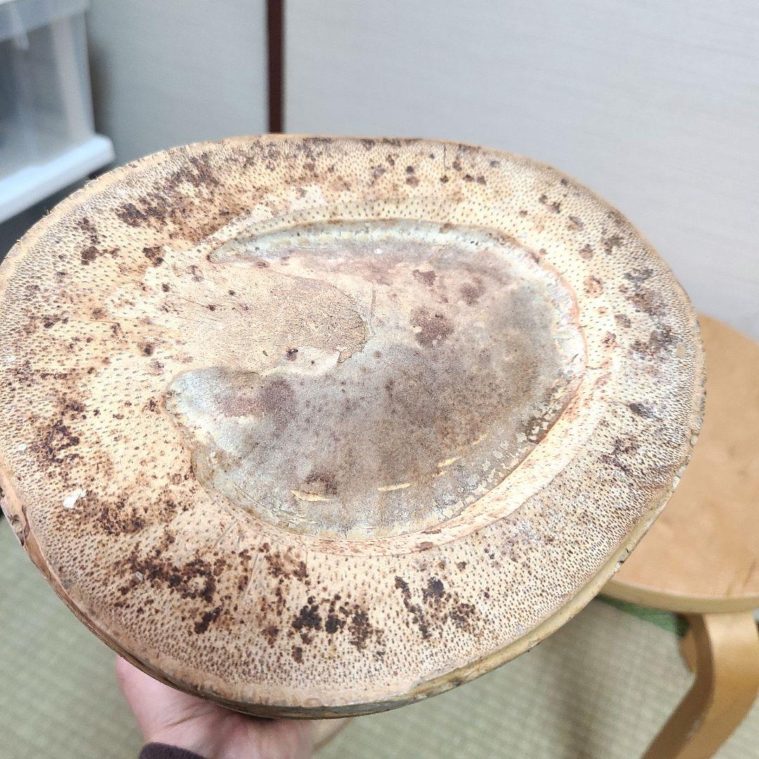 竹二重切 花器 華道具 根付竹製 花瓶 花器 華道 生け花 筒型 根付 竹細工