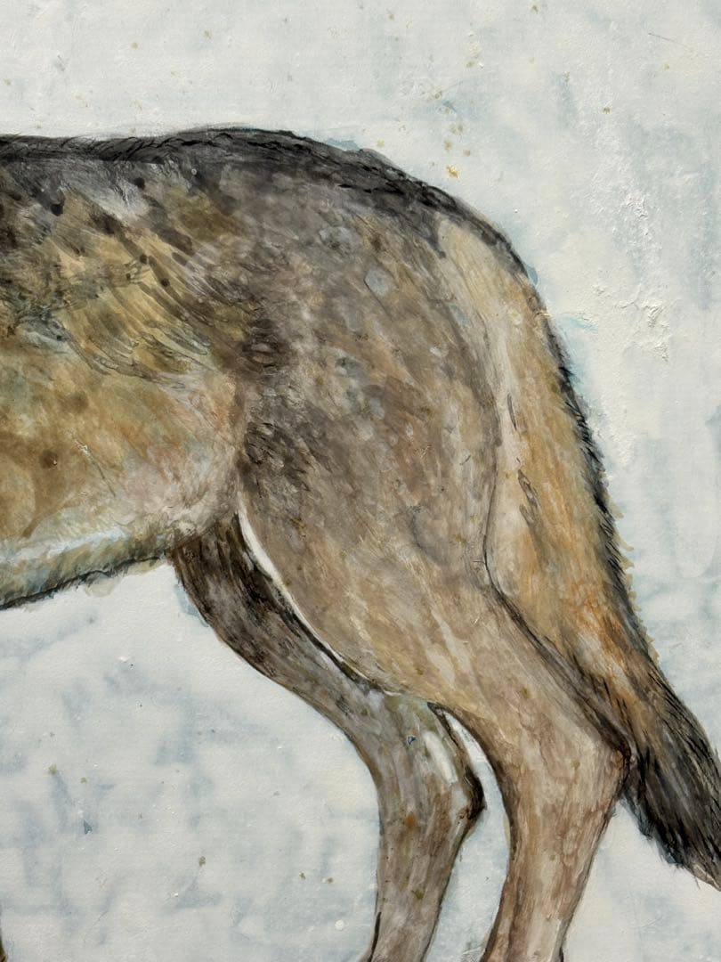 【額無水彩画】オオタカ・オオカミ 2枚セット　川崎 信夫 3087