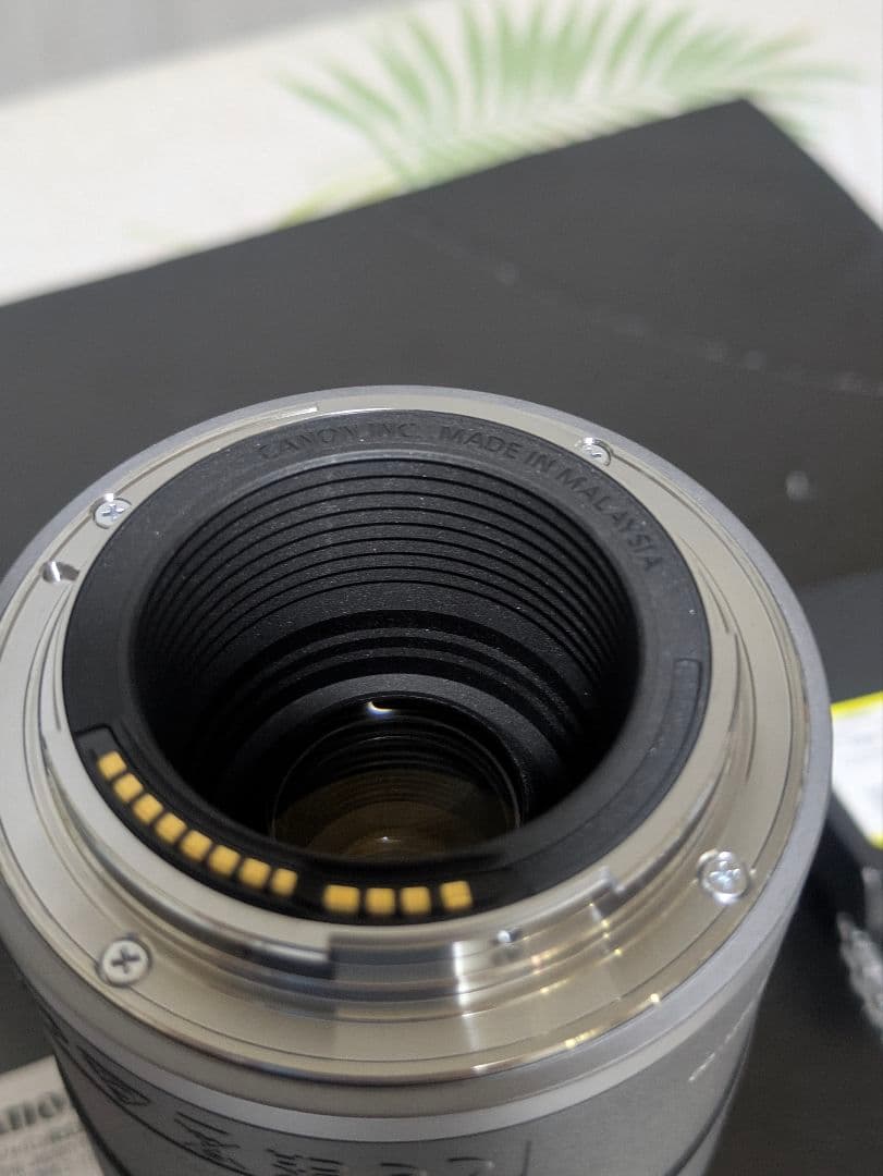 Canon RF 75-300mm F4-5.6望遠ズームレンズ RFマウント