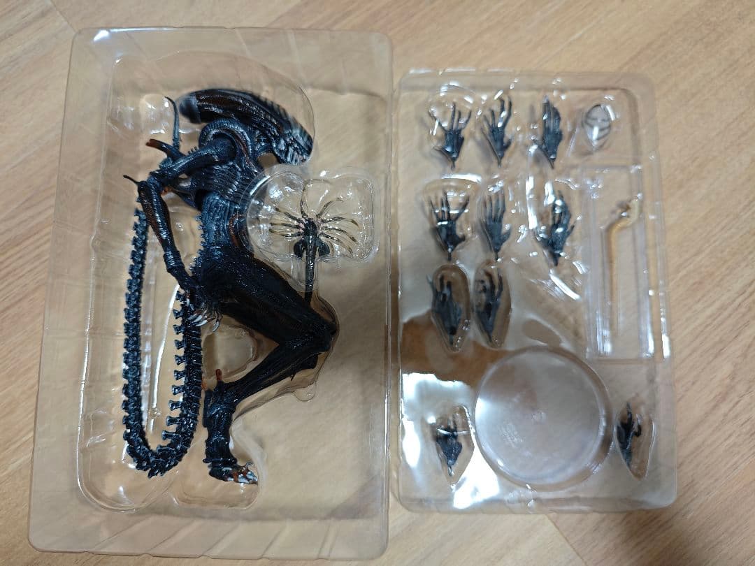 SF・ファンタジー・ホラー NECA Alien: Romulus Scorched Xenomorph