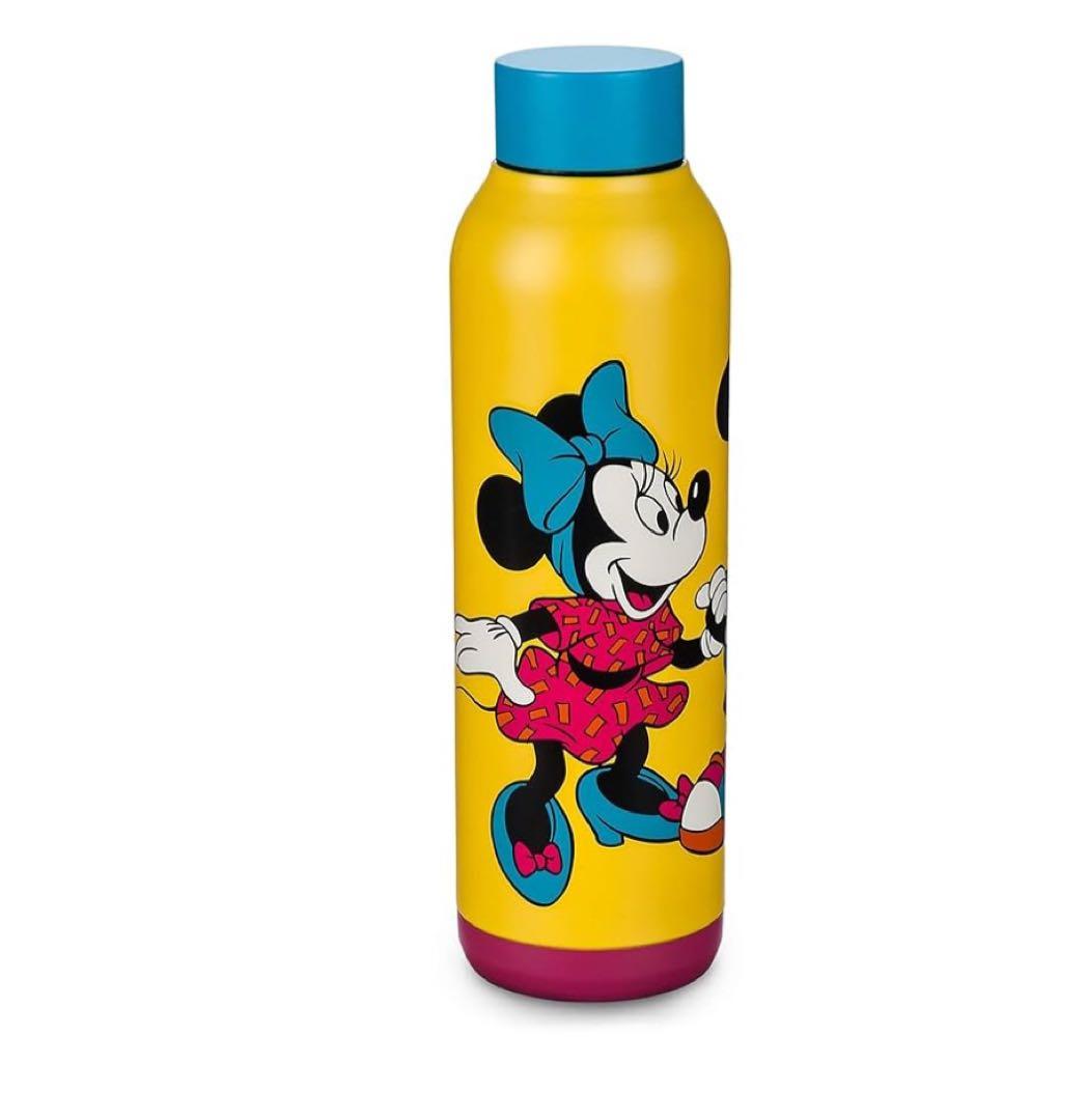 ディズニー　海外限定　水筒 630ml disneyland DLR WDW