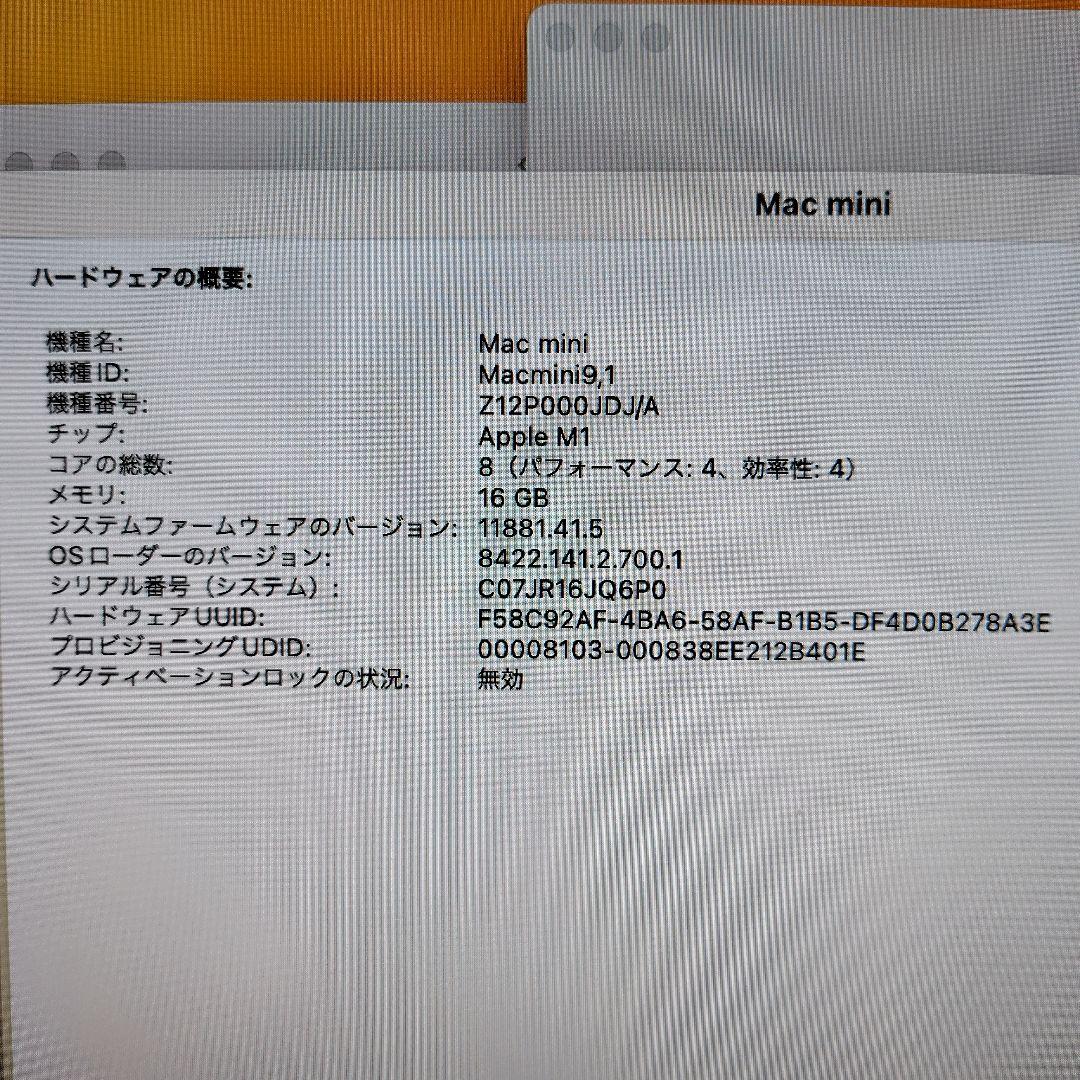 ☆値下げ☆　M1 Mac mini 1TB メモリ16GB
