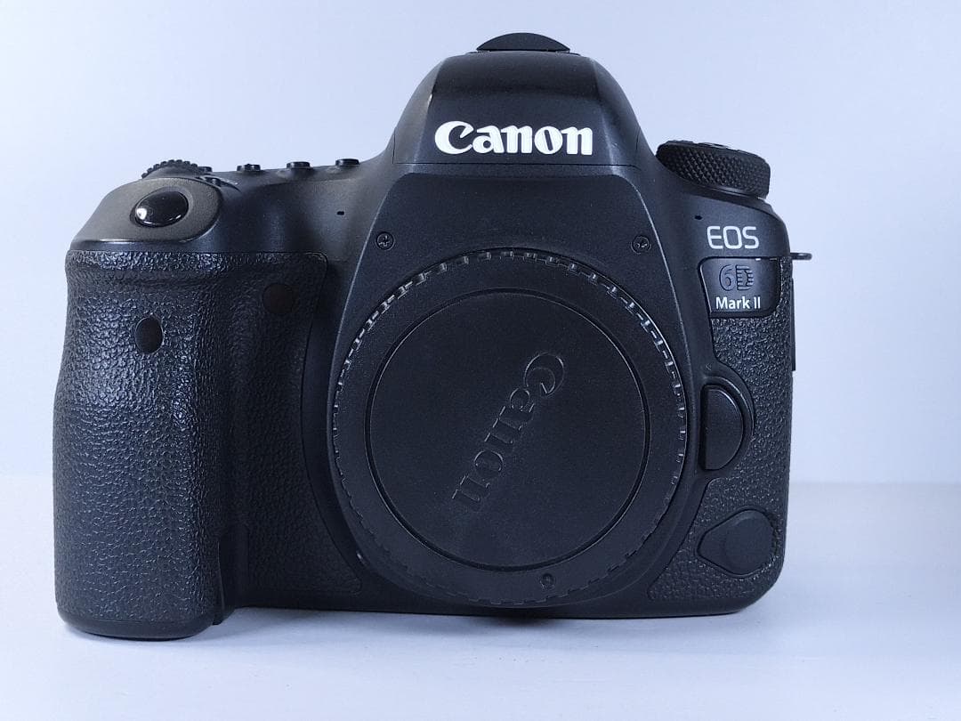 動作品 Canon EOS 6D mark II 本体 純正バッテリー2 充電器