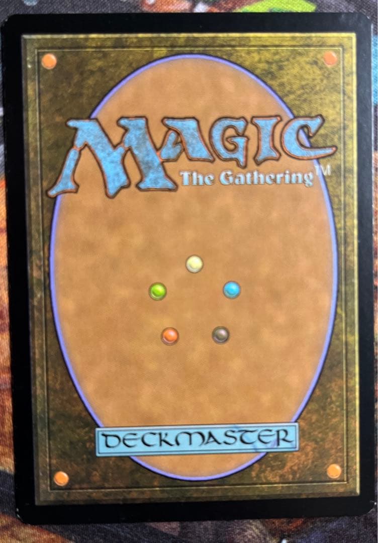 Stifle 4個 英語 (3x CNS 1x SCG)