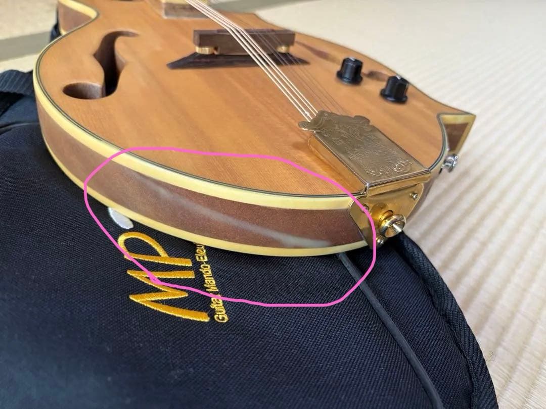 bugs gear エレクトリック・ソリッドフラットマンドリン