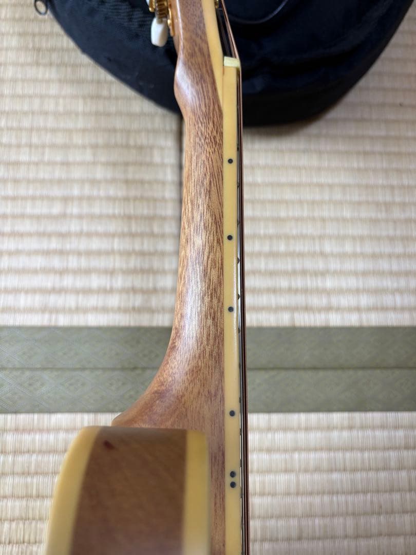 bugs gear エレクトリック・ソリッドフラットマンドリン