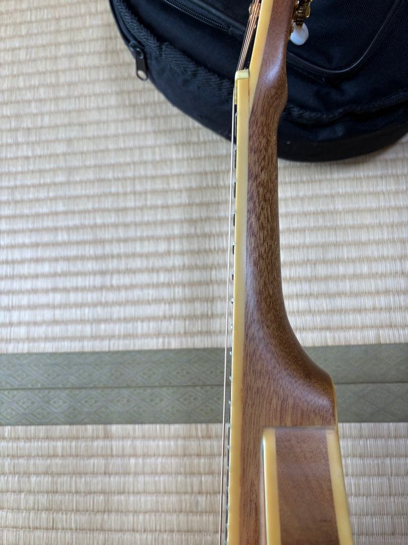 bugs gear エレクトリック・ソリッドフラットマンドリン