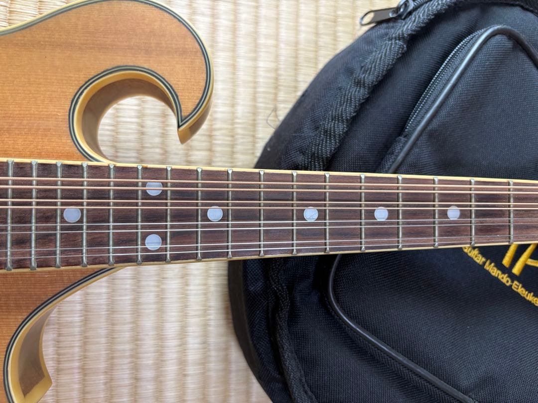 bugs gear エレクトリック・ソリッドフラットマンドリン