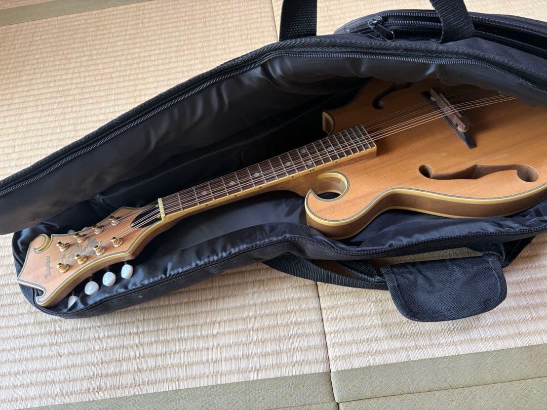 bugs gear エレクトリック・ソリッドフラットマンドリン