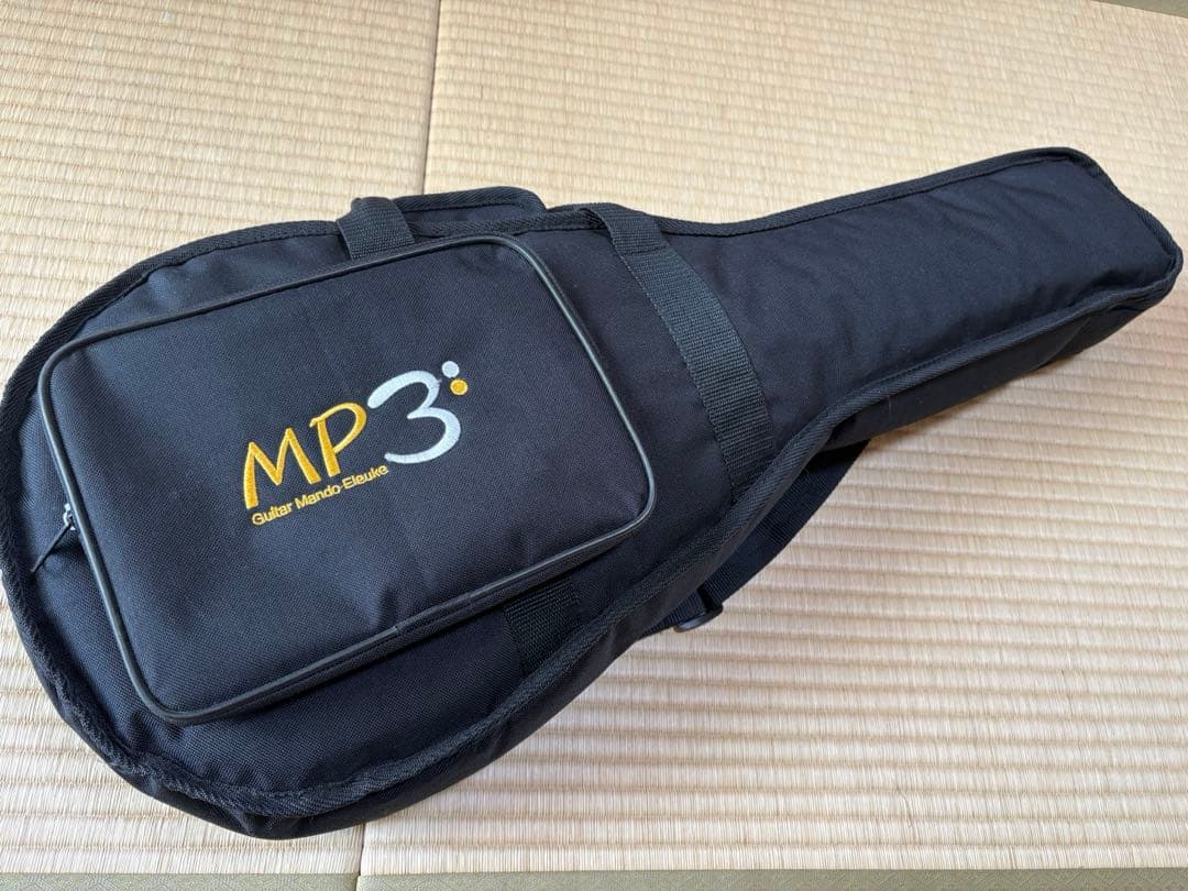 bugs gear エレクトリック・ソリッドフラットマンドリン