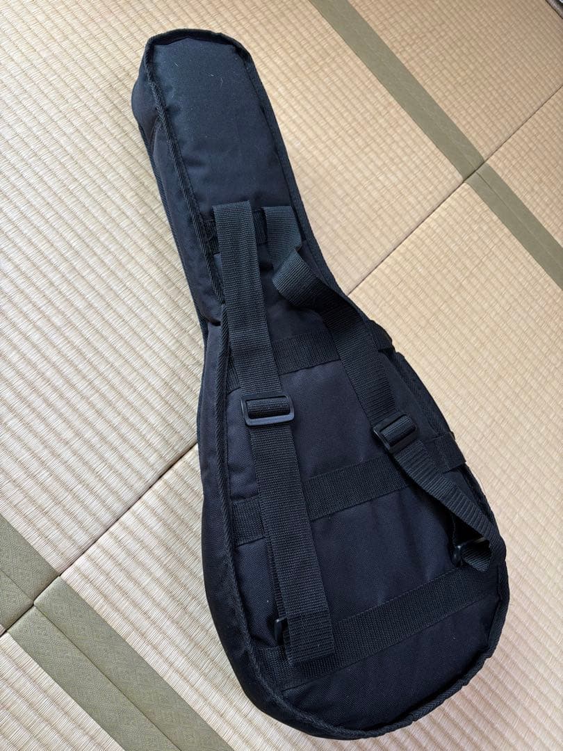 bugs gear エレクトリック・ソリッドフラットマンドリン