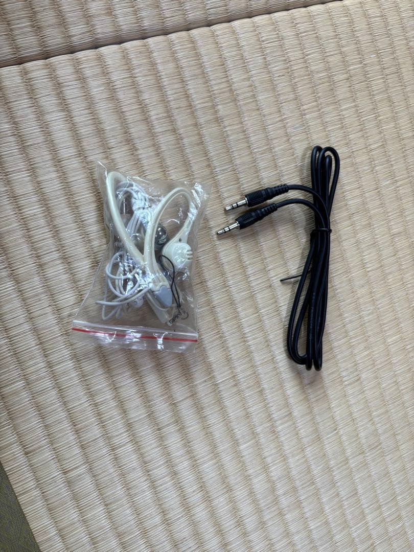 bugs gear エレクトリック・ソリッドフラットマンドリン