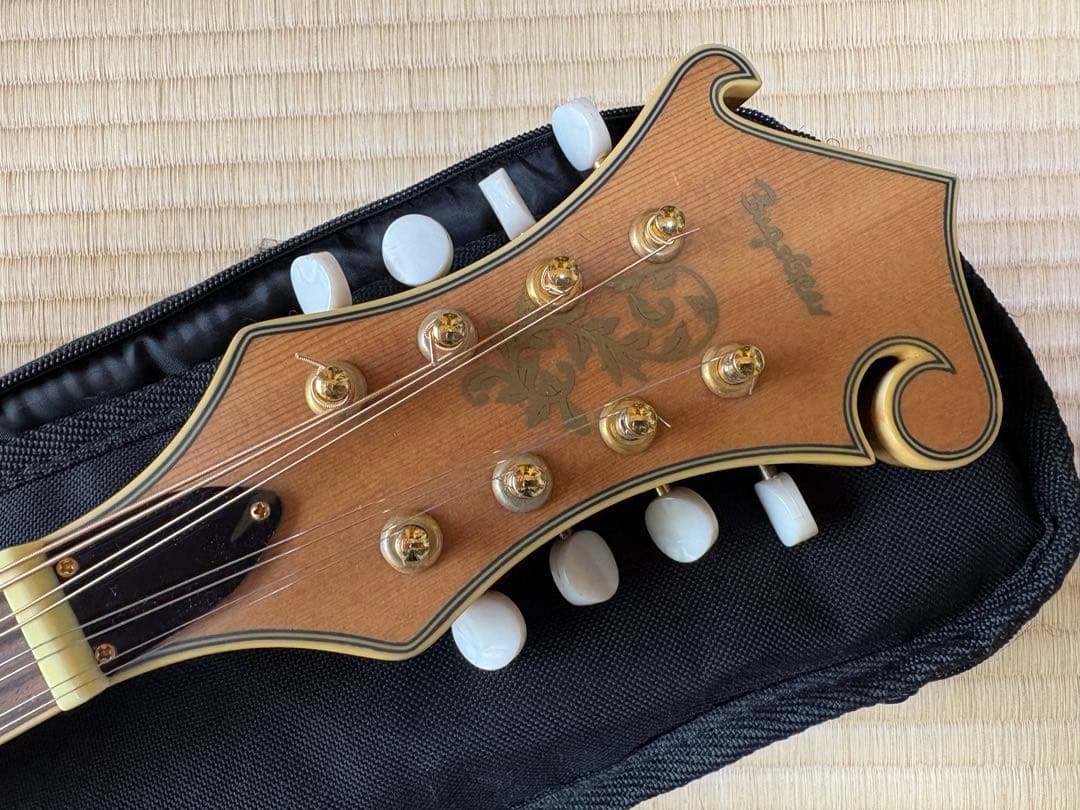 bugs gear エレクトリック・ソリッドフラットマンドリン
