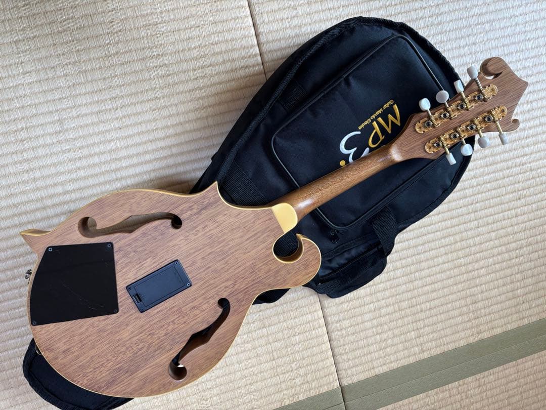 bugs gear エレクトリック・ソリッドフラットマンドリン