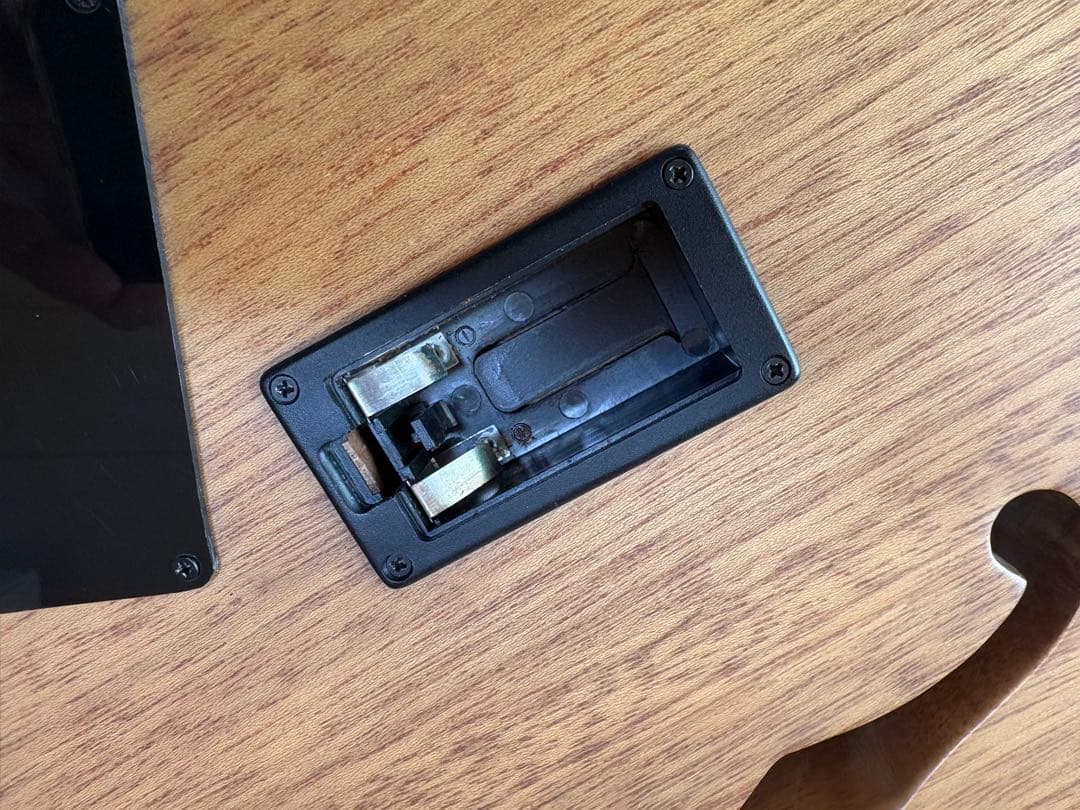 bugs gear エレクトリック・ソリッドフラットマンドリン