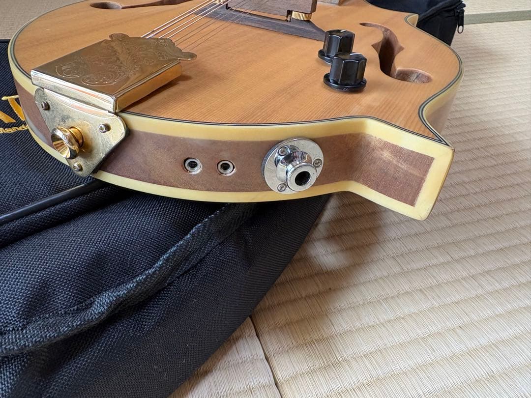 bugs gear エレクトリック・ソリッドフラットマンドリン