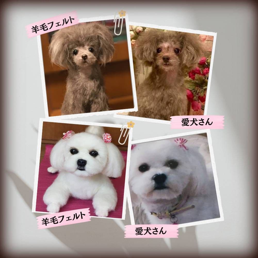 愛犬の羊毛フェルト・オーダー受付・わんちゃん