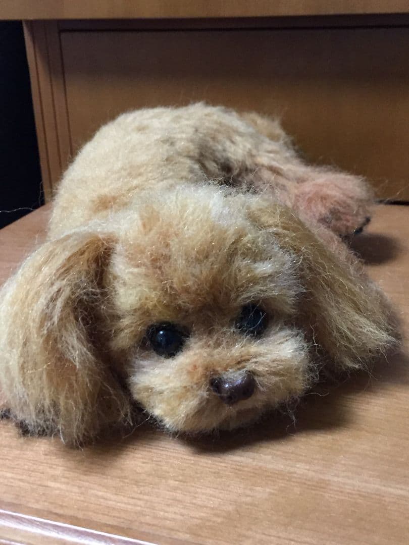 愛犬の羊毛フェルト・オーダー受付・わんちゃん