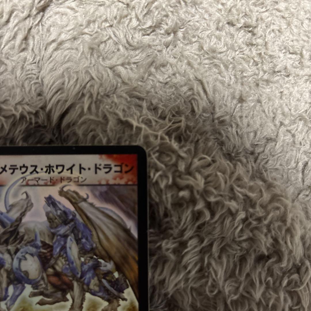 ボルメテウスホワイトドラゴン 初期