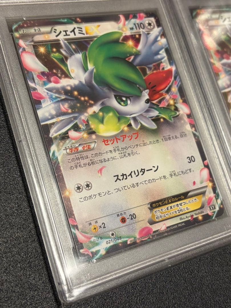 【PSA10連番】ポケモンカードゲーム シェィミEX シェィミEX RR