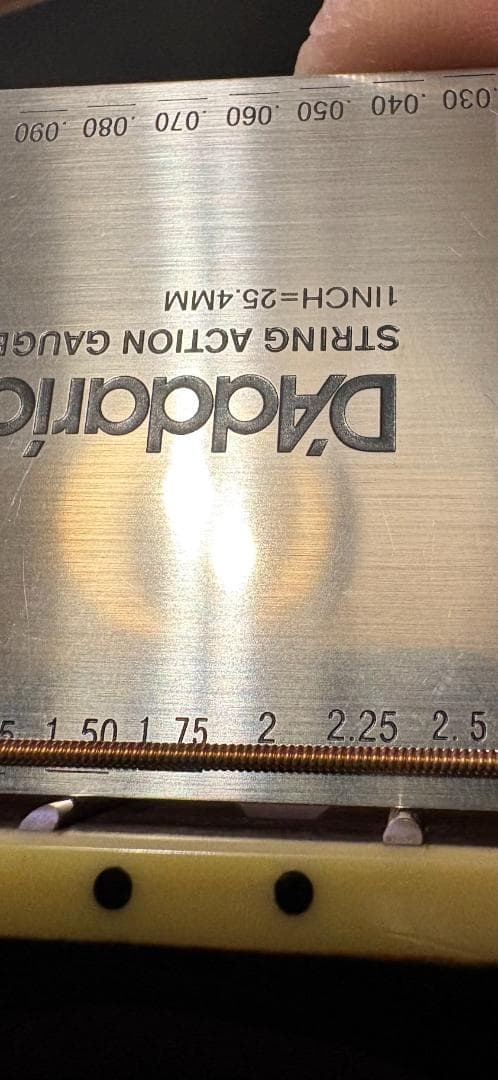 YAMAHA APX1000 長渕剛 HUNGRY MODEL レプリカ