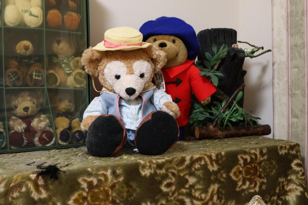 レンズ(ズーム) Canon EF24-105mm F4L IS USM + EW-83H